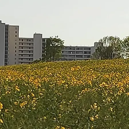 Mit Weitblick & Strandlage Appartement