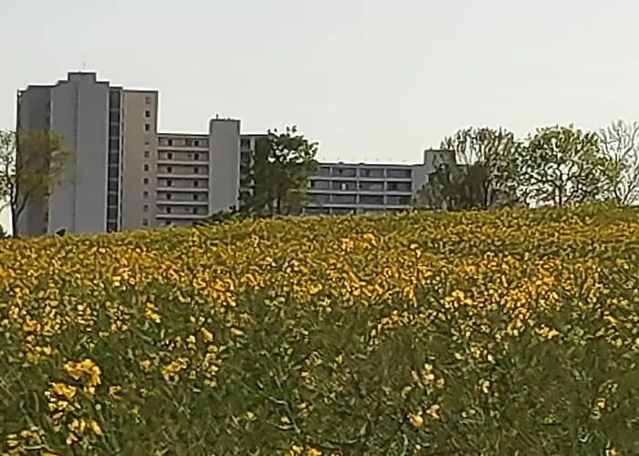 Mit Weitblick & Strandlage Appartement